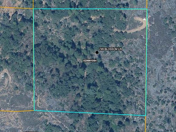 2nd image of 749 Blossom Ln