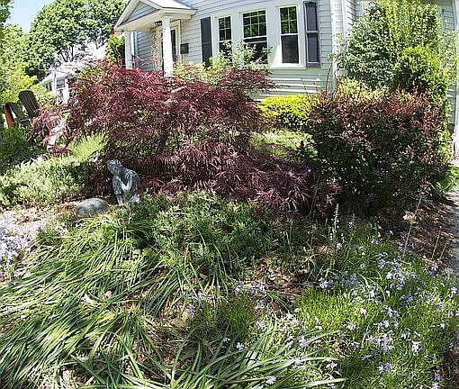 Oh look, the front yard is an oasis too!