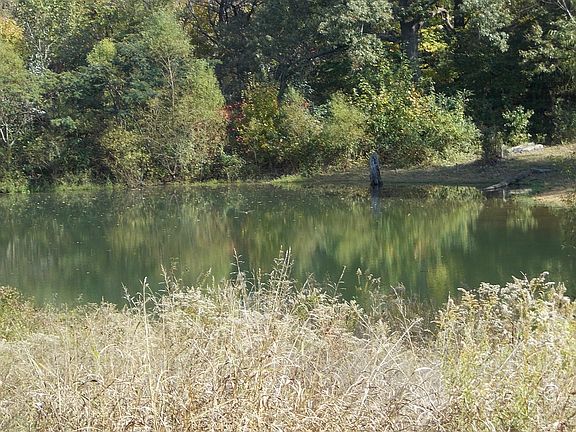 Reflectiting pond!