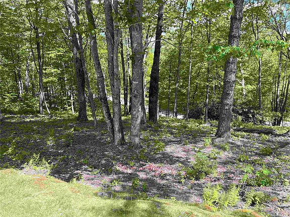 3rd image of 10 Trellis Lane
