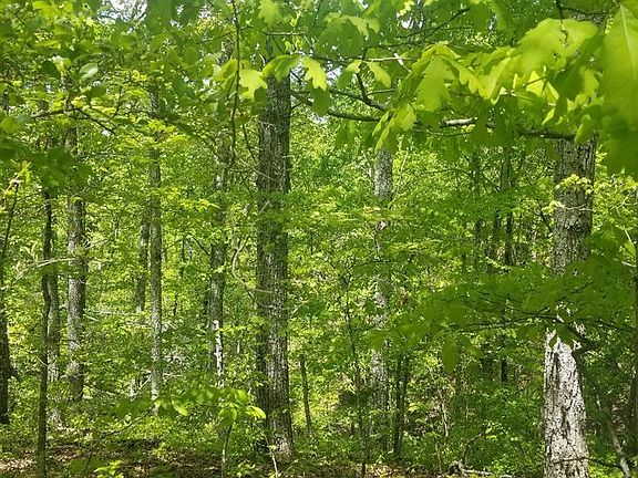 2nd image of 0 Aspen Ct