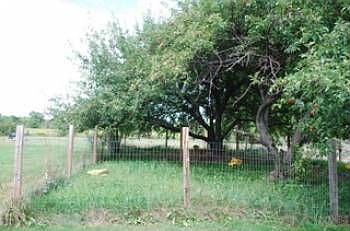 One acre lot with fruit trees and fenced in play area.