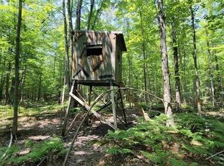 Vl S Steele Rd, Saint Charles, MI 48655