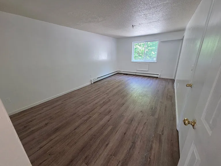 667 Hill St — Photo 7