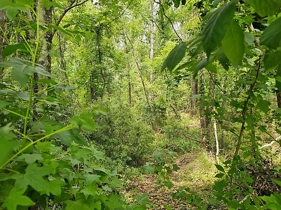 2nd image of 0 SE County Road 25a