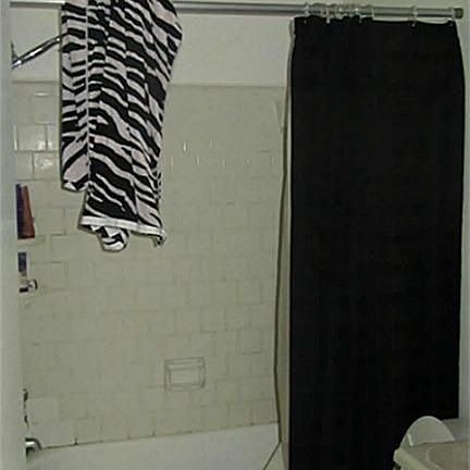 3rd image of 15266 Bedford Glen Dr