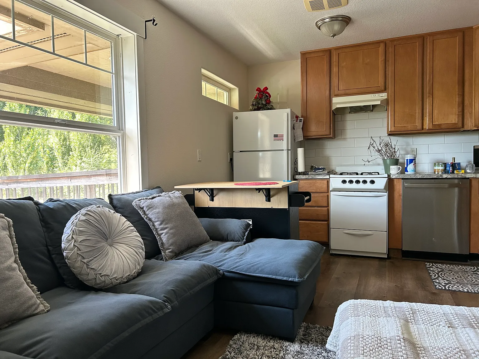 1 bed, 700 sqft, $1,150 — Photo 4