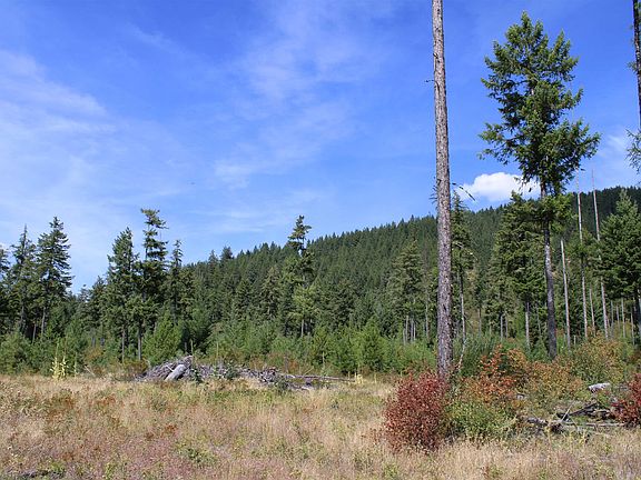 4th image of Ellery Ranch Rd