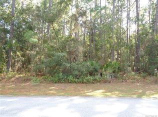 1127 N Rabeck Ave, Lecanto, FL 34461