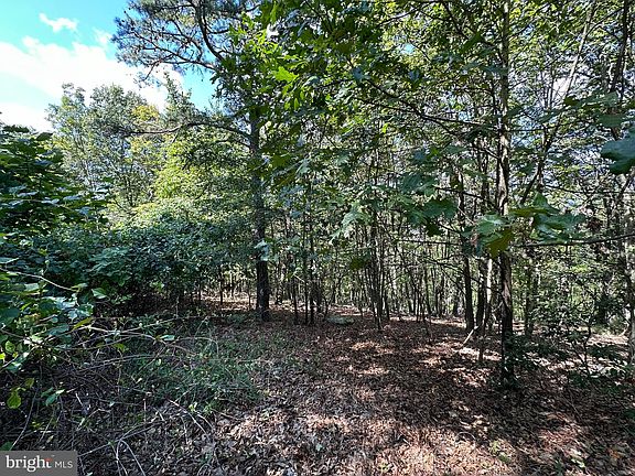 3rd image of Lots 310 & 312 Skyview Dr