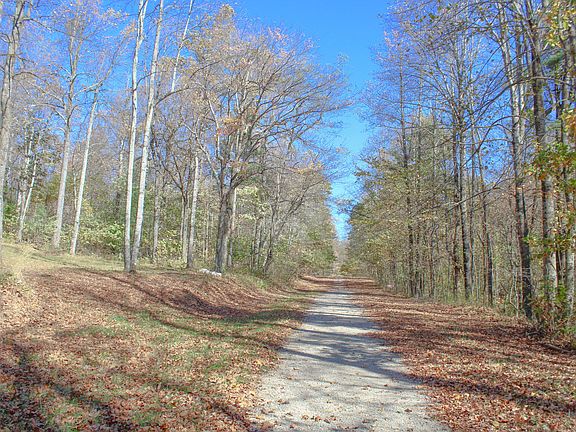 3rd image of Scotch Pine Dr SE