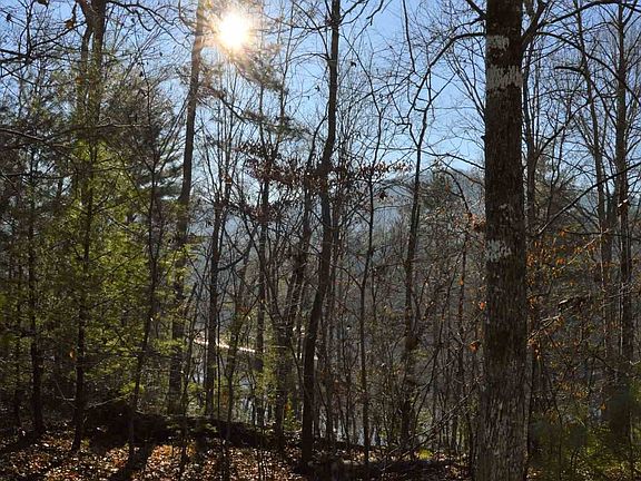 3rd image of 2 Cane Creek Ln #2
