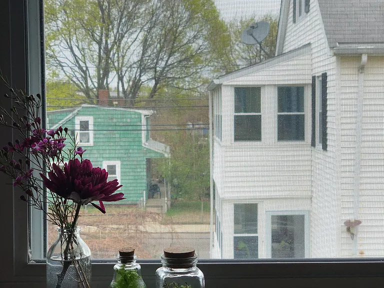 56 S Waverly St #2 — Photo 8