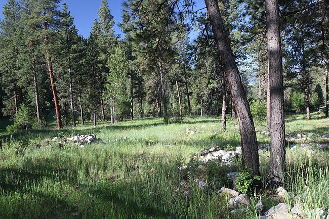 2nd image of 386 4th July Creek Rd