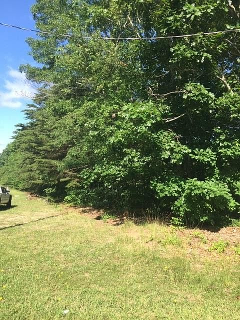 2nd image of 115 Forest Morrison Rd