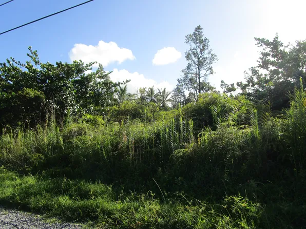 8th Ave Lot 1901, Keaau, HI 96749