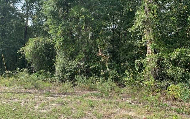 1st image of Lake City Ave Lot 2C
