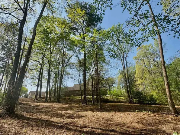 Tbd Travis Peak Trl, White Oak, TX 75693