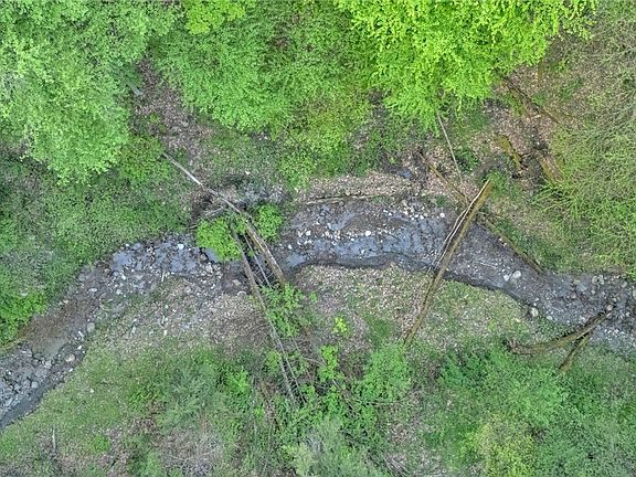 5th image of 10448 Creek Rd Lot 12