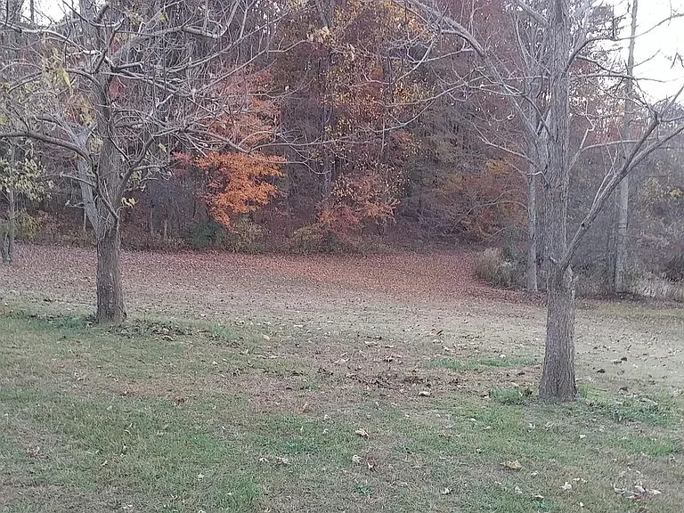 47 Moto Ln — Photo 10
