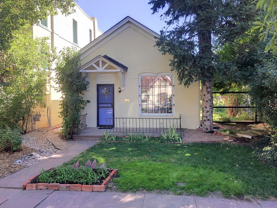 Front yard in summer
