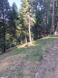 61 Evergreen Dr Lot 61, Cedarpines Park, CA, 92322