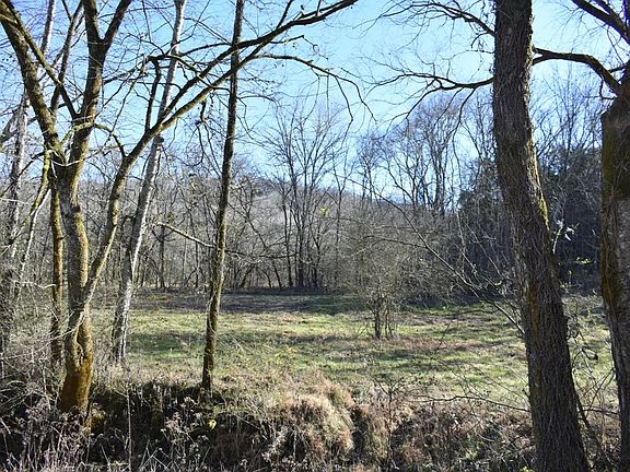3rd image of 0 Grisham Hollow Ln