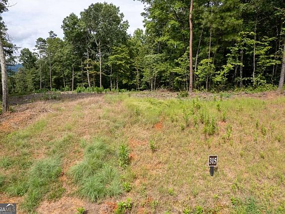 2nd image of LOT 315 Pebble Trce