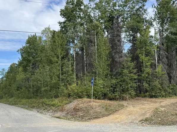 0 Caswell Lakes Rd, Willow, AK 99688