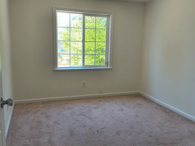 downstairs bedroom
