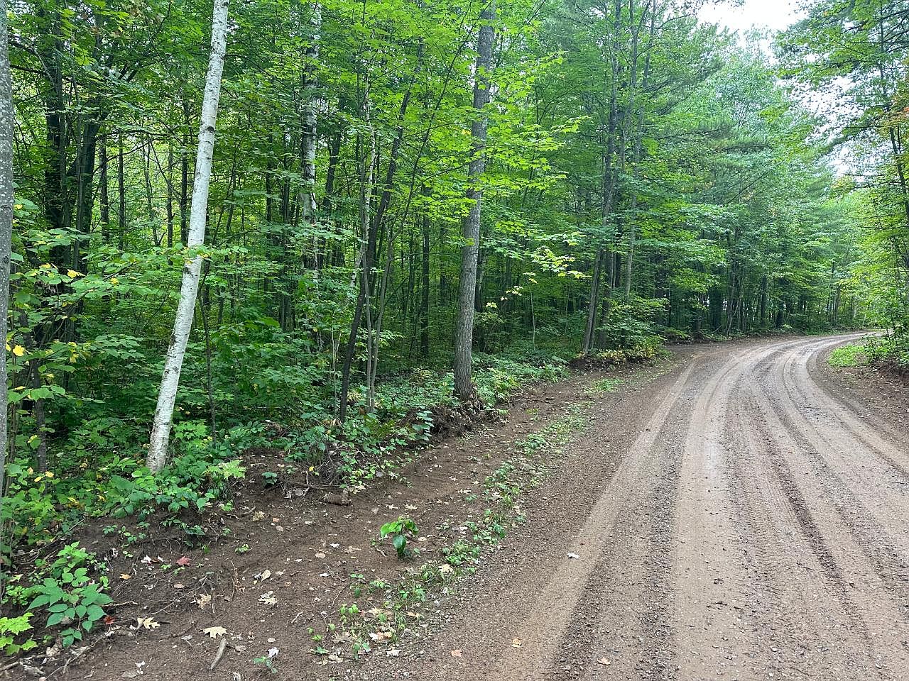 LOT 5 Blue Sky Ln, Lac Du Flambeau, WI 54538 Zillow