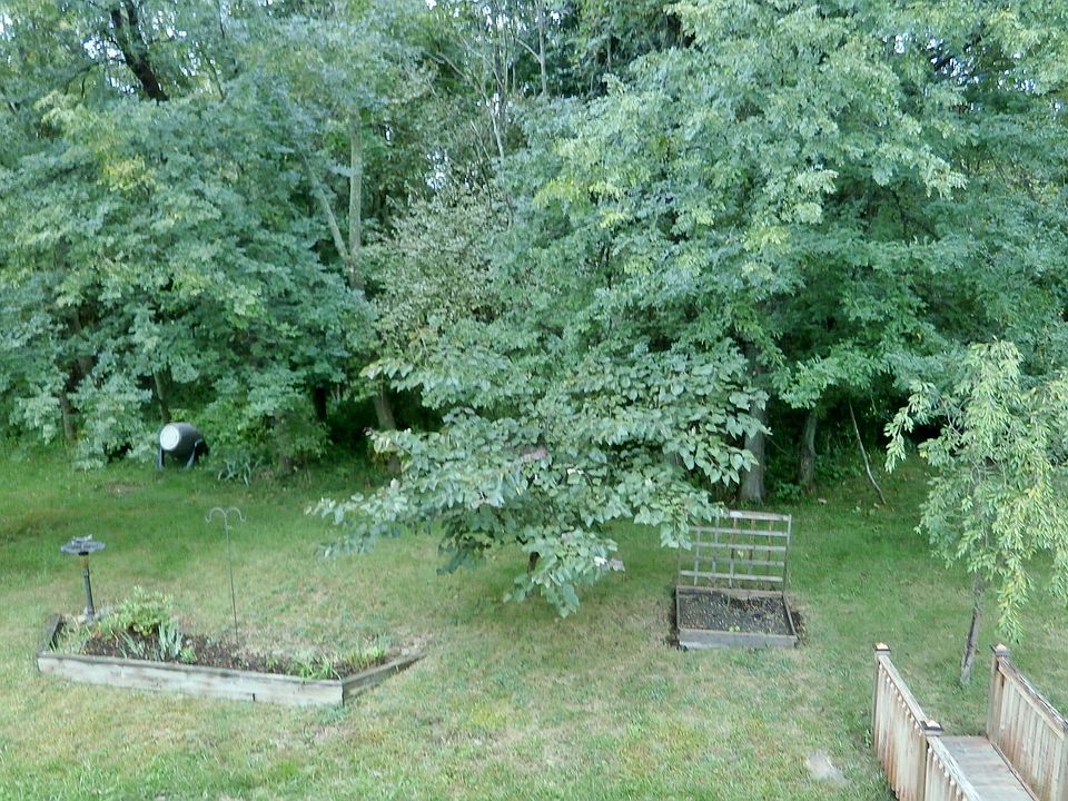 1st image of 8608 Robbins Loop Dr