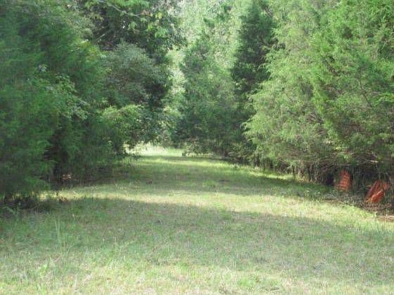 1st image of 291 County Road 6381