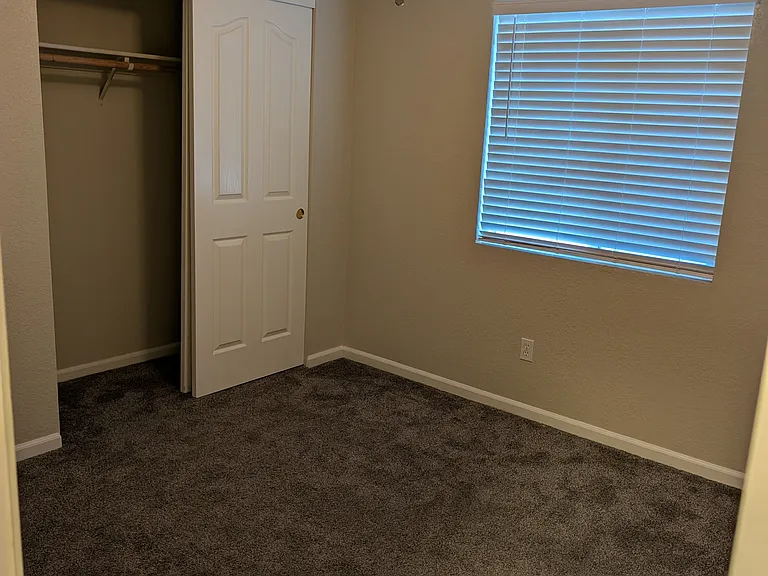 3604 Stingy Ln — Photo 7