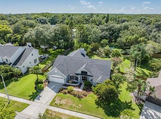 6517 Grazing Ln, Odessa, FL 33556