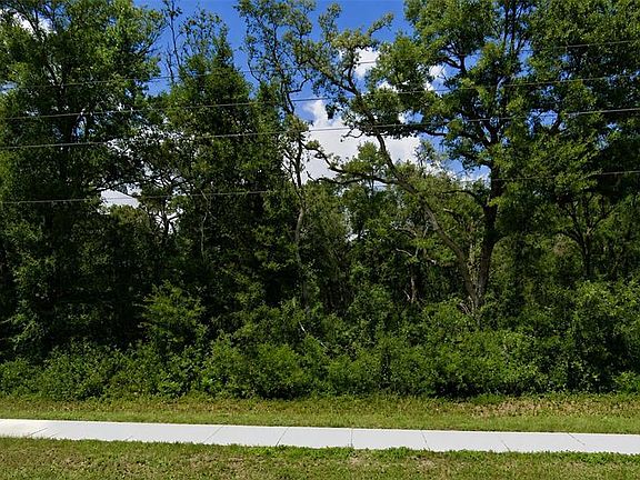 3rd image of 34357 CORTEZ BOULEVARD LOT 18