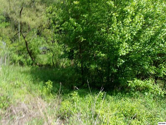 5th image of 1812 Upper Middle Creek Rd Lot 5
