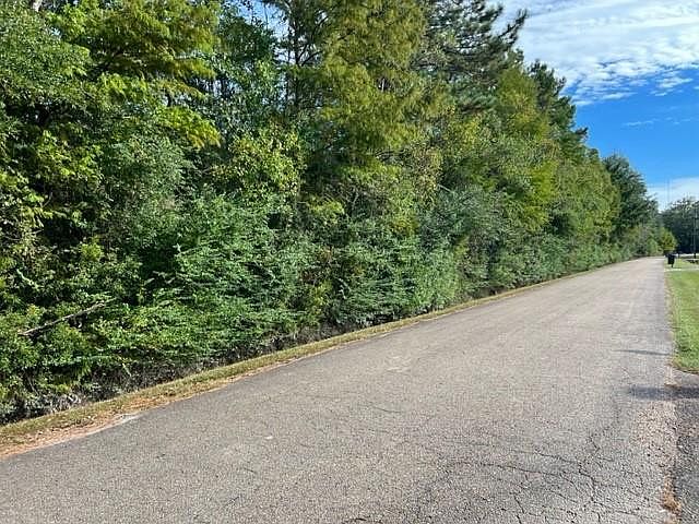 1st image of Bunny Ln
