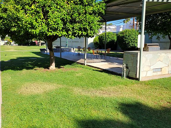 The outdoor barbecue area is surrounded by mature, sweet grapefruit trees_creating a fragrant, shady haven for gathering, grilling, and soaking up desert evenings with friends and family.