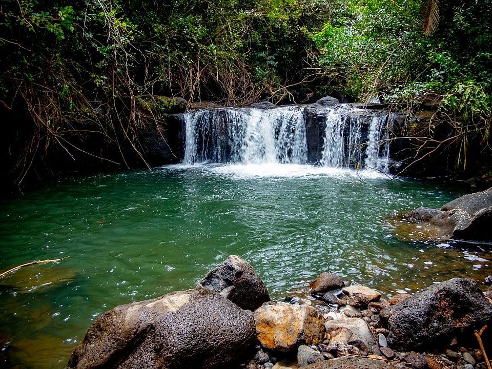 292584 Kaiwiki Homestead Rd, Hakalau, HI 96710 Zillow