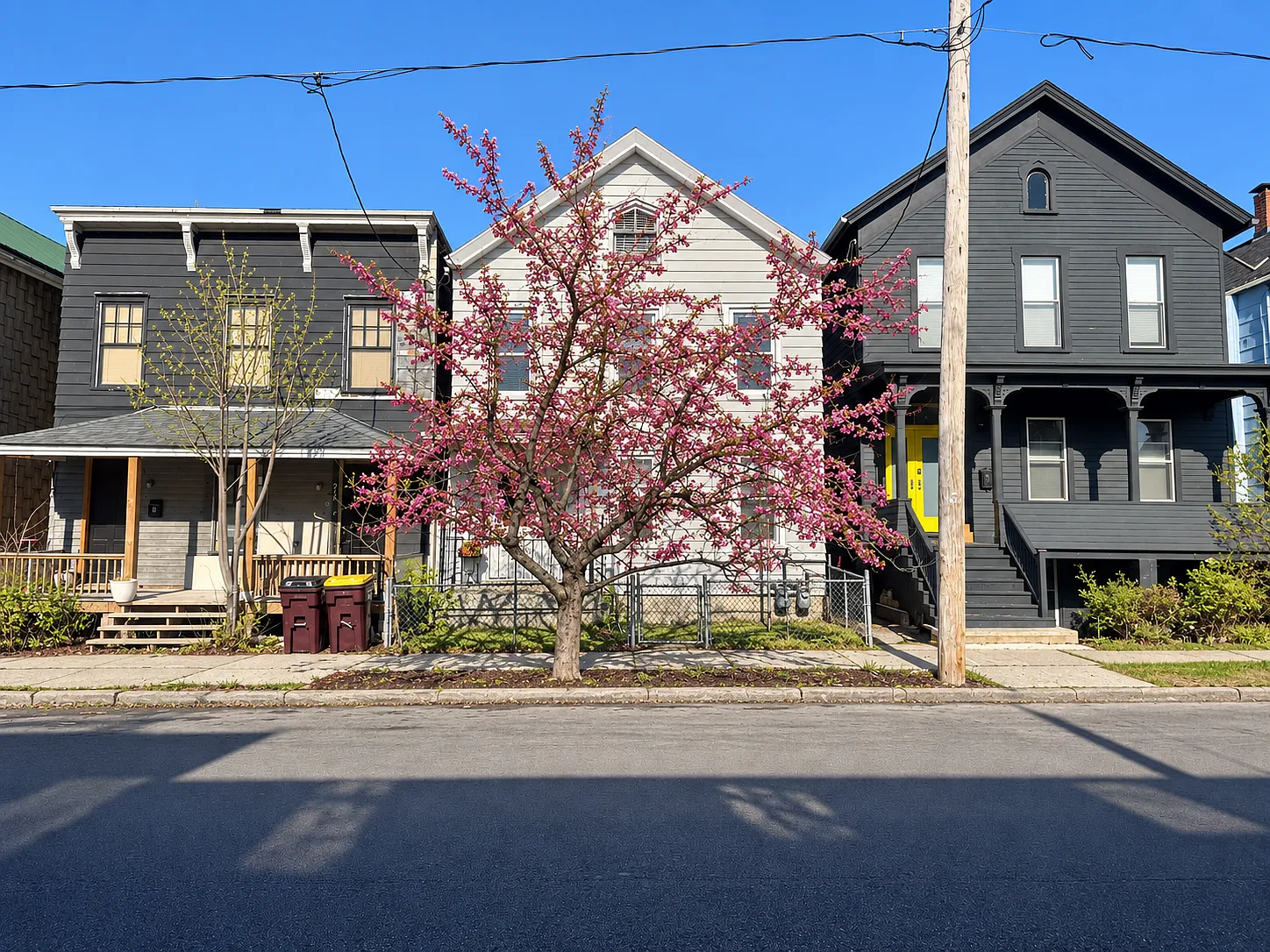 3 bed, 1250 sqft, $2,450 — Photo 2