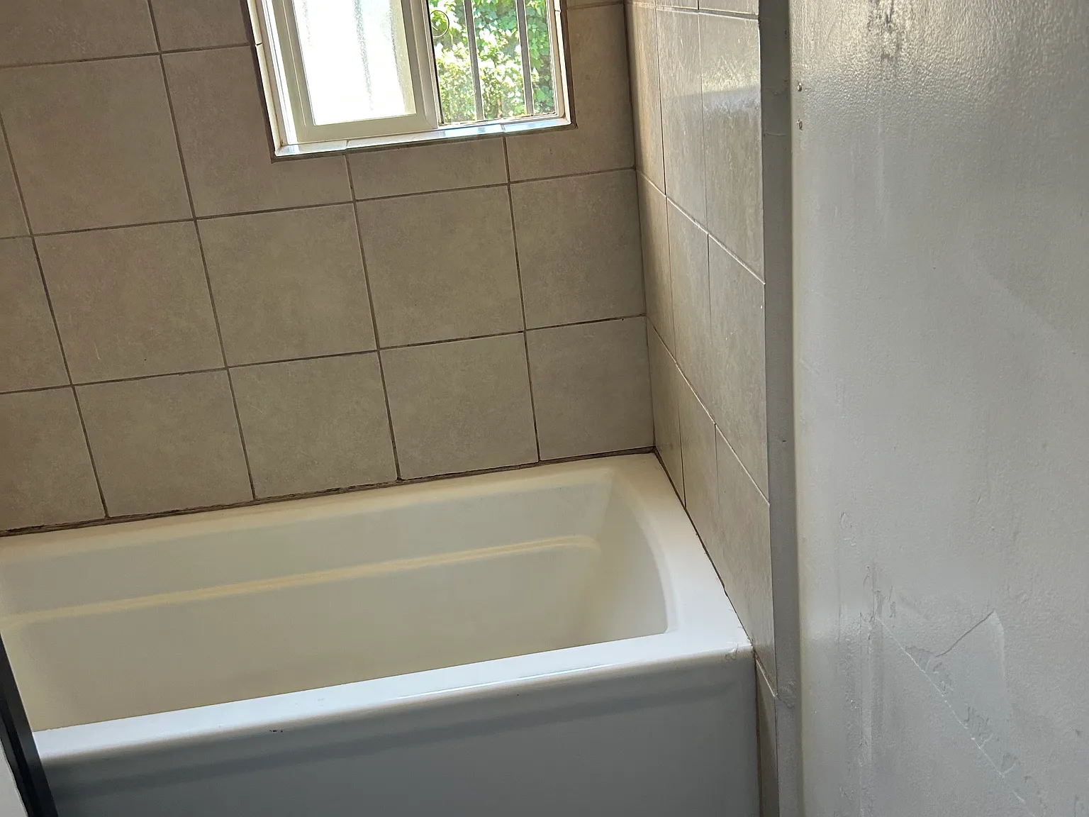 1 bed, 550 sqft, $1,600 — Photo 2
