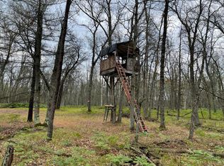 N James Rd, Irons, MI 49644