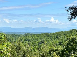 1208 Mountain Vista Dr #319, Nebo, NC 28761