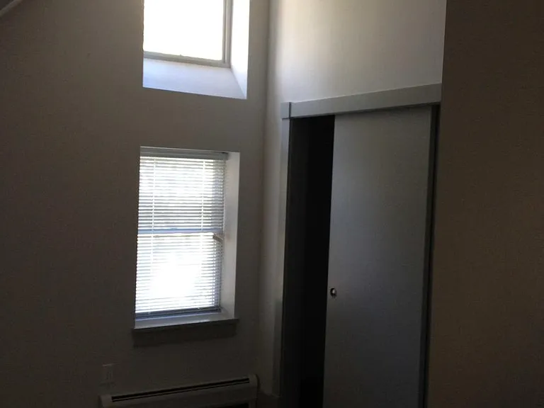 Living Room Windows