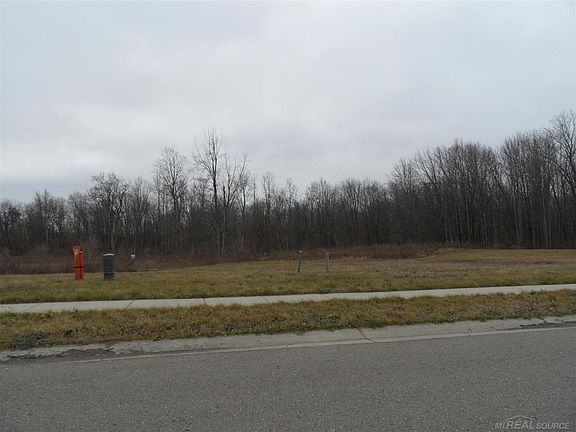 3rd image of 10650 Scarlet Oak Dr