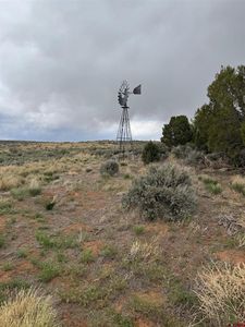 TBD Road 7, Dove Creek, CO, 81324