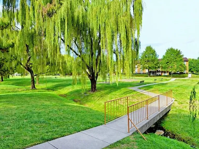 Picturesque Landscapes