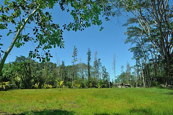 1st image of 14th Ave Lot 999