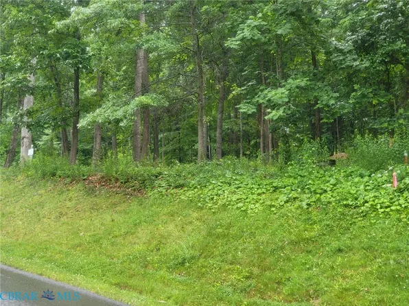 50 Donald Ross Trl Lot 50, Hot Springs, VA 24445